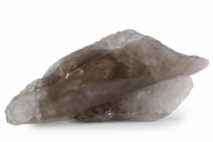 Natural, Dark Smoky Quartz Crystal - Colorado #356714